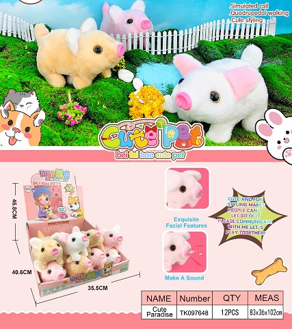 <img src='photo/2025/TK097648.jpg'width='400' height='300'>