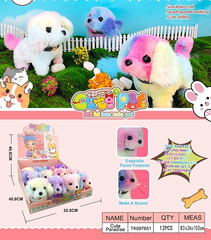 <img src='photo/2025/TK097651.jpg'width='400' height='300'>