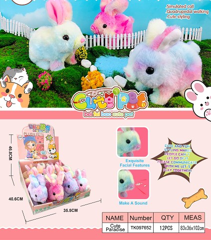 <img src='photo/2025/TK097652.jpg'width='400' height='300'>