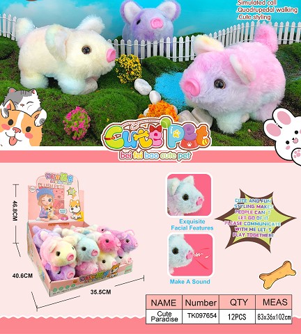 <img src='photo/2025/TK097654.jpg'width='400' height='300'>