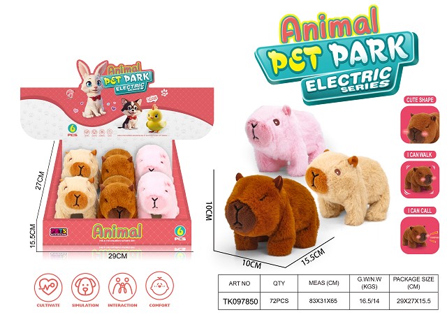 <img src='photo/2025/TK097850.jpg'width='400' height='300'>