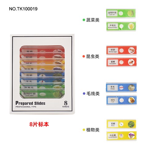 <img src='photo/2025/TK100019.jpg'width='400' height='300'>