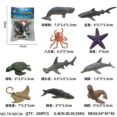 <img src='photo/2025/TK100134.jpg'width='400' height='300'>