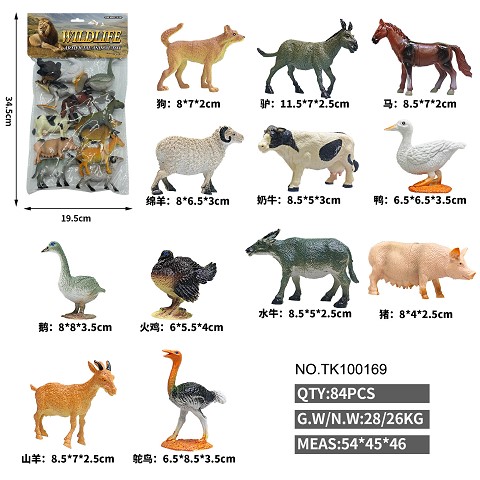 <img src='photo/2025/TK100169.jpg'width='400' height='300'>