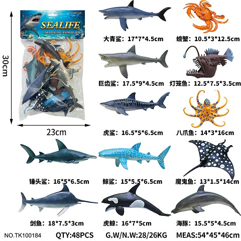 <img src='photo/2025/TK100184.jpg'width='400' height='300'>