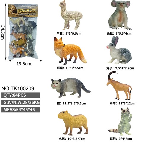 <img src='photo/2025/TK100209.jpg'width='400' height='300'>