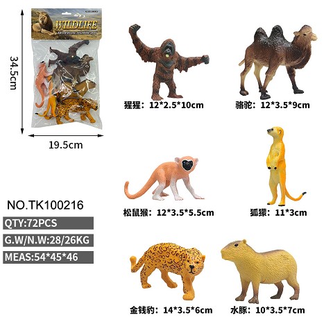 <img src='photo/2025/TK100216.jpg'width='400' height='300'>