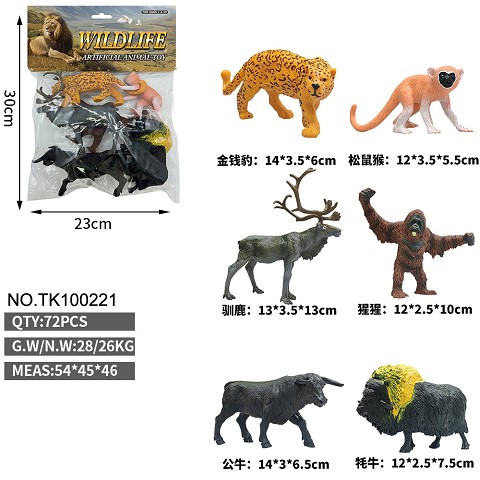 <img src='photo/2025/TK100221.jpg'width='400' height='300'>