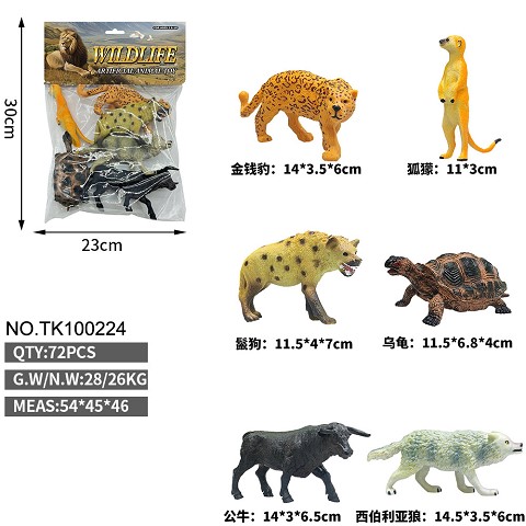 <img src='photo/2025/TK100224.jpg'width='400' height='300'>