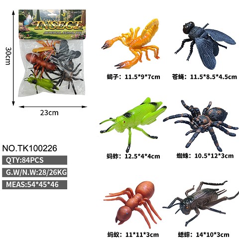 <img src='photo/2025/TK100226.jpg'width='400' height='300'>