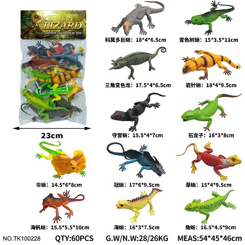 <img src='photo/2025/TK100228.jpg'width='400' height='300'>