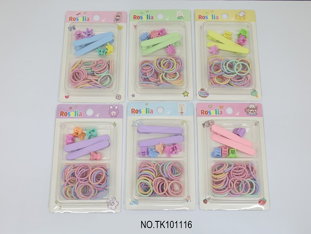 <img src='photo/2025/TK101116.JPG'width='400' height='300'>