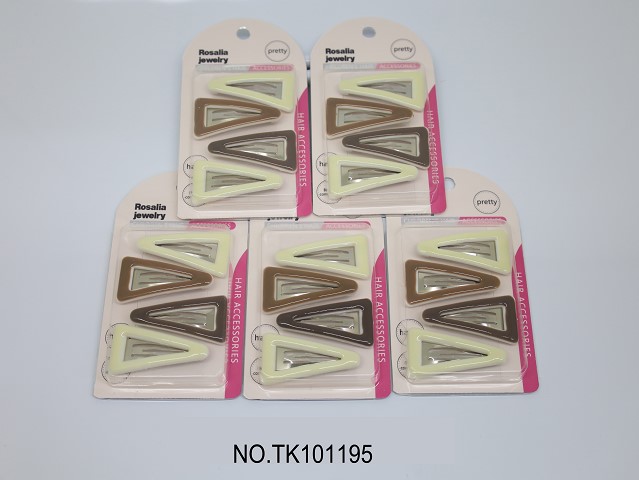 <img src='photo/2025/TK101195.JPG'width='400' height='300'>